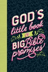God's Little Book of Big Bible Promises - eBook
