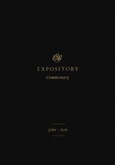 ESV Expository Commentary (Volume 9): John-Acts - eBook