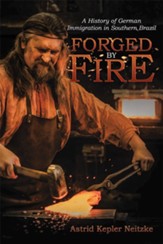 Forged by Fire: A History of German Immigration in Southern Brazil - eBook