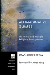 An Imaginative Glimpse: The Trinity and Multiple Religious Participations - eBook