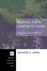 Waiting for a Glacier to Move: Practicing Social Witness - eBook