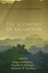 The Economy of Salvation: Essays in Honor of M. Douglas Meeks - eBook