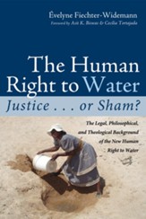 The Human Right to Water: Justice . . . or Sham?: The Legal, Philosophical, and Theological Background of the New Human Right to Water - eBook