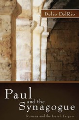 Paul and the Synagogue: Romans and the Isaiah Targum - eBook