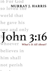 John 3:16: What's It All About? - eBook