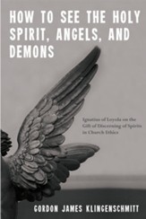 How to See the Holy Spirit, Angels, and Demons: Ignatius of Loyola on the Gift of Discerning of Spirits in Church Ethics - eBook