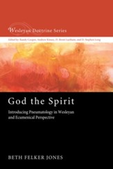 God the Spirit: Introducing Pneumatology in Wesleyan and Ecumenical Perspective - eBook
