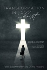 Transformation in Christ: Paul's Experience of the Divine Mystery - eBook