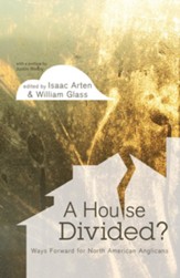 A House Divided: Ways Forward for North American Anglicans - eBook