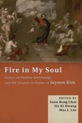 Fire in My Soul: Essays on Pauline Soteriology and the Gospels in Honor of Seyoon Kim - eBook