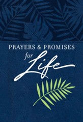 Prayers & Promises for Life - eBook