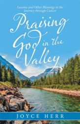 Praising God in the Valley: Lessons and Other Blessings in the Journey Through Cancer - eBook