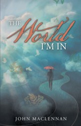 The World I'm In - eBook