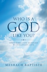 Who Is a God Like You?: Open Rebellion Silenced by Steadfast Love - eBook