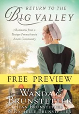 Return to the Big Valley (FREE PREVIEW) - eBook