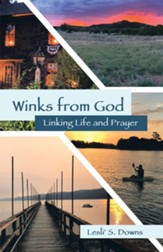 Winks from God: Linking Life and Prayer - eBook