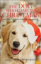 The Dog Who Came to Christmas: And Other True Stories of the Gifts Dogs Bring Us - eBook