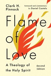 Flame of Love: A Theology of the Holy Spirit - eBook