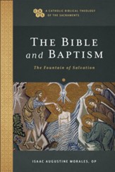 The Bible and Baptism (A Catholic Biblical Theology of the Sacraments): The Fountain of Salvation - eBook