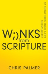 Winks from Scripture: Understanding God's Subtle Work Among Us - eBook