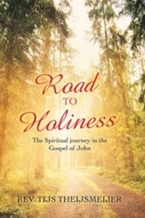 Road to Holiness: The Spiritual Journey in the Gospel of John - eBook