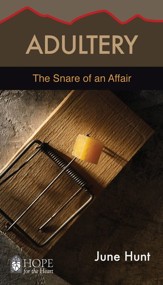 Adultery: The Snare of an Affair - eBook