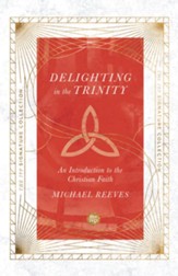 Delighting in the Trinity: An Introduction to the Christian Faith - eBook