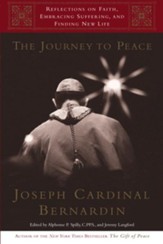 The Journey to Peace: Reflections on Faith, Embracing Suffering, and Finding New Life - eBook