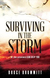 Surviving in the Storm: My True Experiences Can Help You - eBook