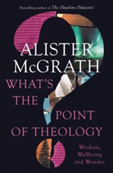What's the Point of Theology?: Wisdom, Wellbeing and Wonder - eBook