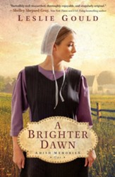 A Brighter Dawn (Amish Memories Book #1) - eBook