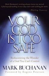 Your God is Too Safe - eBook