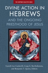 Divine Action in Hebrews: And the Ongoing Priesthood of Jesus - eBook