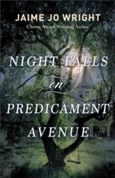 Night Falls on Predicament Avenue - eBook