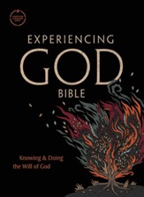 CSB Experiencing God Bible - eBook