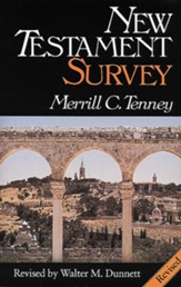 New Testament Survey - eBook