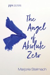 The Angel of Absolute Zero - eBook