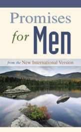 Promises for Men: from the New International Version - eBook