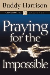 Praying for the Impossible - eBook