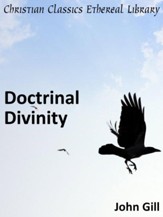 Doctrinal Divinity - eBook