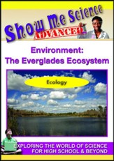 Environment: The Everglades  Ecosystem