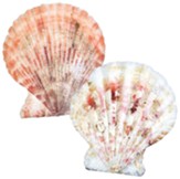 Scalloped Seashells, pack of approx. 120