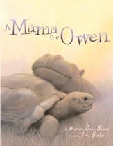 A Mama for Owen - eBook