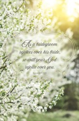 As a Bridegroom Rejoices (Isaiah 62:5, NIV) Bulletins, 100