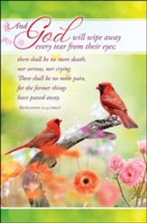 Wipe Away Every Tear (Revelation 21:4, NKJV) Bulletins, 100