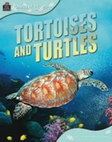 Animal Lives: Tortoises and Turtles