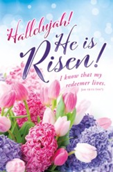 Hallelujah! He is Risen (Job 19:25, NIV) Bulletins, 100