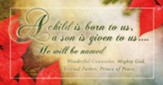 Poinsettia | A Child is Born to Us (Isaiah 9:6 CEB) Offering Envelopes, 100