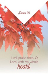 I Will Praise Thee, O Lord (Psalm 9:1, KJV) Bulletins, 100