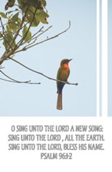 Sing unto the Lord (Psalm 96:1-2, KJV) Bulletins, 100